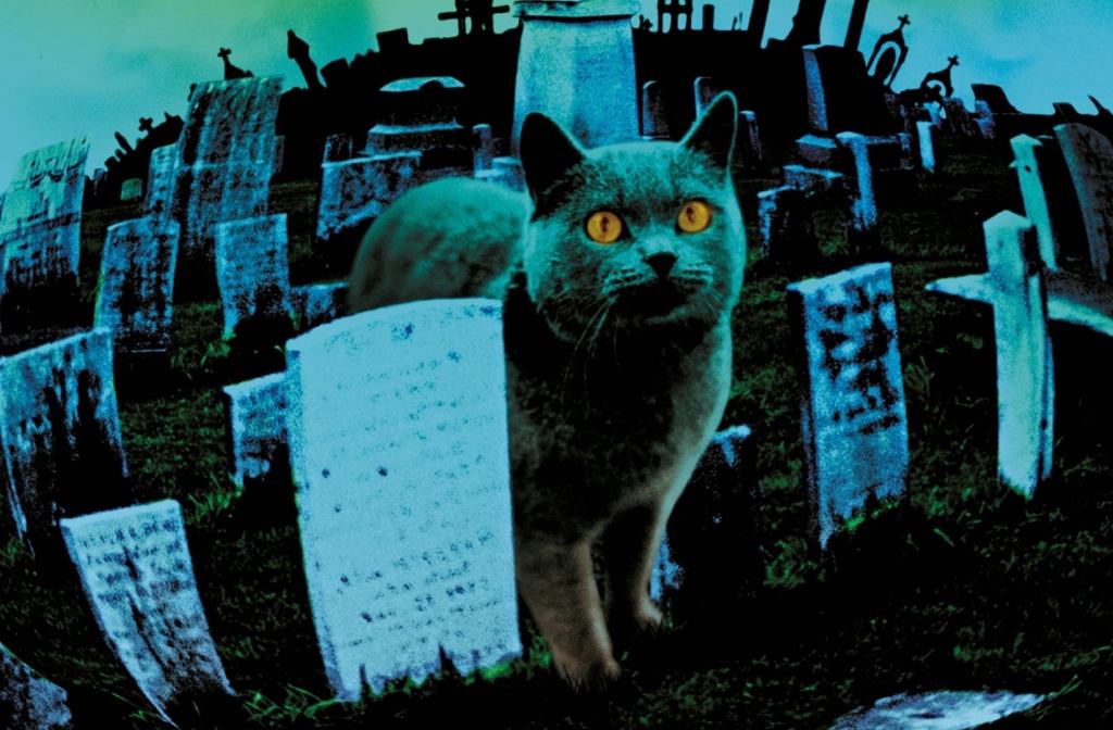 Andrew Hubatsek interview – Pet Sematary’s Zelda